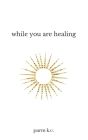 While You are Healing By Parm K. C. Cover Image
