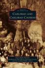 Carlsbad and Carlsbad Caverns By Donna Blake-Birchell, Southeastern New Mexico Historical Socie, Carlsbad Public Library Cover Image