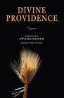DIVINE PROVIDENCE: PORTABLE: THE PORTABLE NEW CENTURY EDITION By Emanuel Swedenborg, GEORGE F. DOLE (Translated by) Cover Image