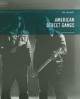 American Street Gangs By Tim Delaney Cover Image