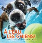 ? l'Eau, Les Chiens! By Seth Casteel Cover Image