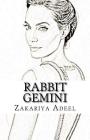 Rabbit Gemini: The Combined Astrology Series By Zakariya Adeel Cover Image