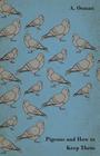 Pigeons and How to Keep Them By A. Osman Cover Image