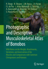 Photographic and Descriptive Musculoskeletal Atlas of Bonobos: With Notes on the Weight, Attachments, Variations, and Innervation of the Muscles and C By Rui Diogo, Brian Shearer, Josep M. Potau Cover Image