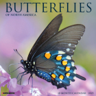 Butterflies 2025 12 X 12 Wall Calendar Cover Image