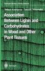 Association Between Lignin and Carbohydrates in Wood and Other Plant Tissues By Tetsuo Koshijima, Takashi Watanabe Cover Image