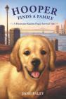 Hooper Finds a Family: A Hurricane Katrina Dog's Survival Tale By Jane Paley Cover Image