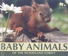 Baby Animals of the Woodland Forest (Nature's Baby Animals) By Carmen Bredeson Cover Image