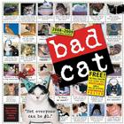 Bad Cat Wall Calendar 2009 By Workman Publishing Cover Image