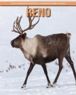 Reno - Datos e imágenes divertidas y fascinantes sobre los Reno By Christine Wetmore Cover Image