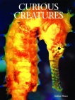 Curious Creatures By Andrew Cleave Cover Image
