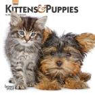 Kittens & Puppies 2020 Mini 7x7 Cover Image