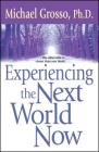 Experiencing the Next World Now By Michael Grosso, Ph.D. Cover Image