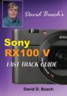 DAVID BUSCH'S Sony Cyber-shot DSC-RX100 V FAST TRACK GUIDE By David Busch Cover Image