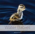 Water Babies: The Hidden Lives of Baby Wetland Birds By William Burt Cover Image