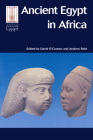 ANCIENT EGYPT IN AFRICA (Encounters With Ancient Egypt) Cover Image