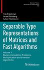 Separable Type Representations of Matrices and Fast Algorithms: Volume 1 Basics. Completion Problems. Multiplication and Inversion Algorithms (Operator Theory: Advances and Applications #234) By Yuli Eidelman, Israel Gohberg, Iulian Haimovici Cover Image