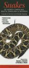 Snakes of North Carolina, South Carolina & Georgia: A Guide to Common & Notable Species By George L. Heinrich, Timothy Walsh Cover Image