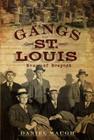 Gangs of St. Louis: Men of Respect (True Crime) By Daniel Waugh Cover Image