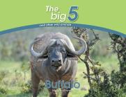 Buffalo: The Big 5 and other wild animals By Megan Emmett Cover Image