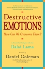 Destructive Emotions: A Scientific Dialogue with the Dalai Lama By Daniel Goleman Cover Image