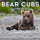 Bear Cubs Calendar 2022: 16-Month Calendar, Cute Gift Idea For Newborn Bear Lovers Women & Men Cover Image
