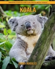 Koala: Amazing Photos and Fun Facts about Koala By Emma Ruggles Cover Image