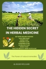 The hidden secret in herbal medicine: Get rapid healing through Cover Image