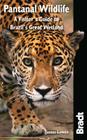 Bradt Pantanal Wildlife: A Visitor's Guide to Brazil's Great Wetland (Bradt Wildlife Explorer) By James Lowen Cover Image