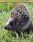 Hedgehog: An Amazing Animal Picture Book about Hedgehog for Kids By Heather Marshall Cover Image