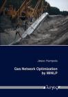 Gas Network Optimization by Minlp Cover Image