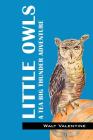Little Owls: A Tea Big Thunder Story By Walt Valentine Cover Image