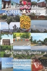 Peregrino En Contraestaca: San Ignacio, Sinaloa By Ramón Antonio Larrañaga Torróntegui Cover Image