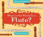 What in the World Is a Flute? (Musical Instruments) By Mary Elizabeth Salzmann Cover Image