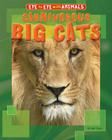 Carnivorous Big Cats (Eye to Eye with Animals) By Ruth Owen Cover Image