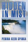 Hidden in Mist By Penina Keen Spinka Cover Image
