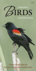 A Field Guide to Birds of the Pacific Northwest By Tony Greenfield, Penny Hall (By (photographer)) Cover Image