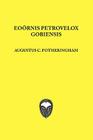 Eoornis Pterovelox Gobiensis By Augustus C. Fortheringham Cover Image