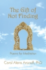 The Gift of Not Finding By Carol Aronoff Cover Image