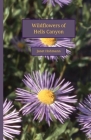 Wildflowers of Hells Canyon Cover Image