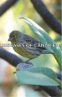 Diseases of Canaries By Robert Stroud Cover Image