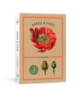 Seeds and Pods: 24 Postcards (New York Botanical Garden) Cover Image