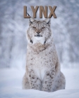Lynx: Amazing Lynx Pictures Book for kids By Lara Mark Cover Image