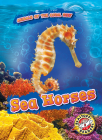 Sea Horses By Kate Moening Cover Image