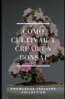 Como Cultivar y Crear un Bonsai By Knowledge Treasure Collection Cover Image