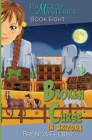 Broken Curse: A Pameroy Mystery in Arizona By Brenda Felber Cover Image