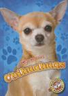 Chihuahuas (Awesome Dogs) Cover Image