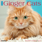 Just Ginger Cats 2022 Wall Calendar (Cat Breed) Cover Image