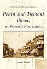 Pekin and Tremont, Illinois in Vintage Postcards (Postcard History) By Donald L. Nieukirk Cover Image