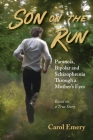 Son on the Run Cover Image